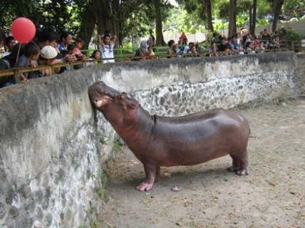 Gambar