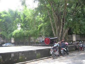 IMG_7895