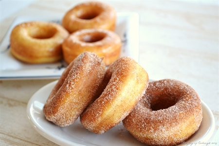 Plain Doughnut