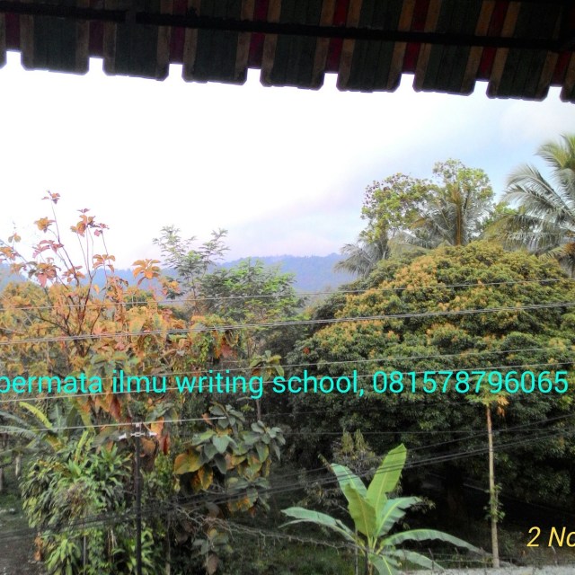 IMG_20151103_164649