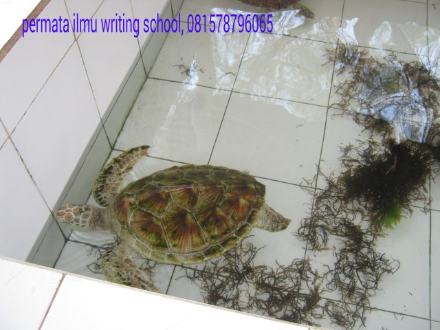 PicsArt_12-05-05.47.45