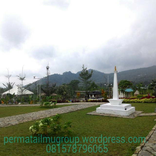 IMG_20161103_045124.jpg image